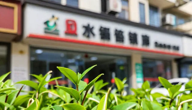 技术方案选择对技术转让效果的影响原因分析